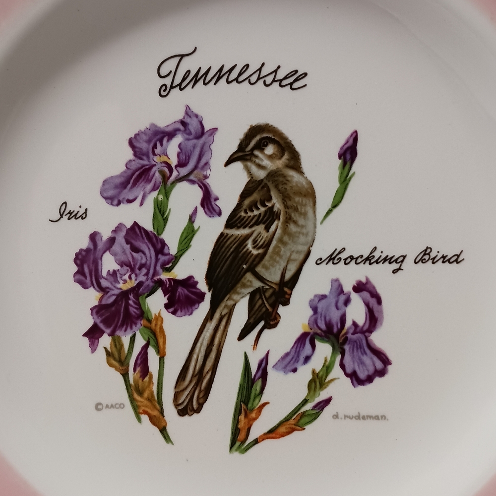 Vintage Tennessee Souvenir Mockingbird Iris Decorative Plate - Picture 2 of 6